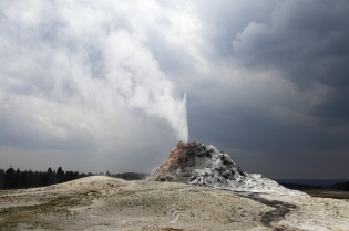 Eruption du White Dome Geyser
Yellowstone, Wyoming - Etats-Unis